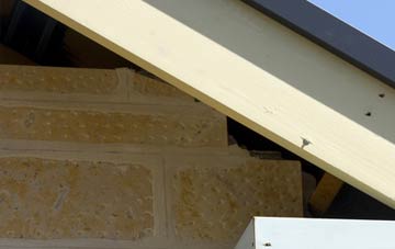 soffit repair Frongoch